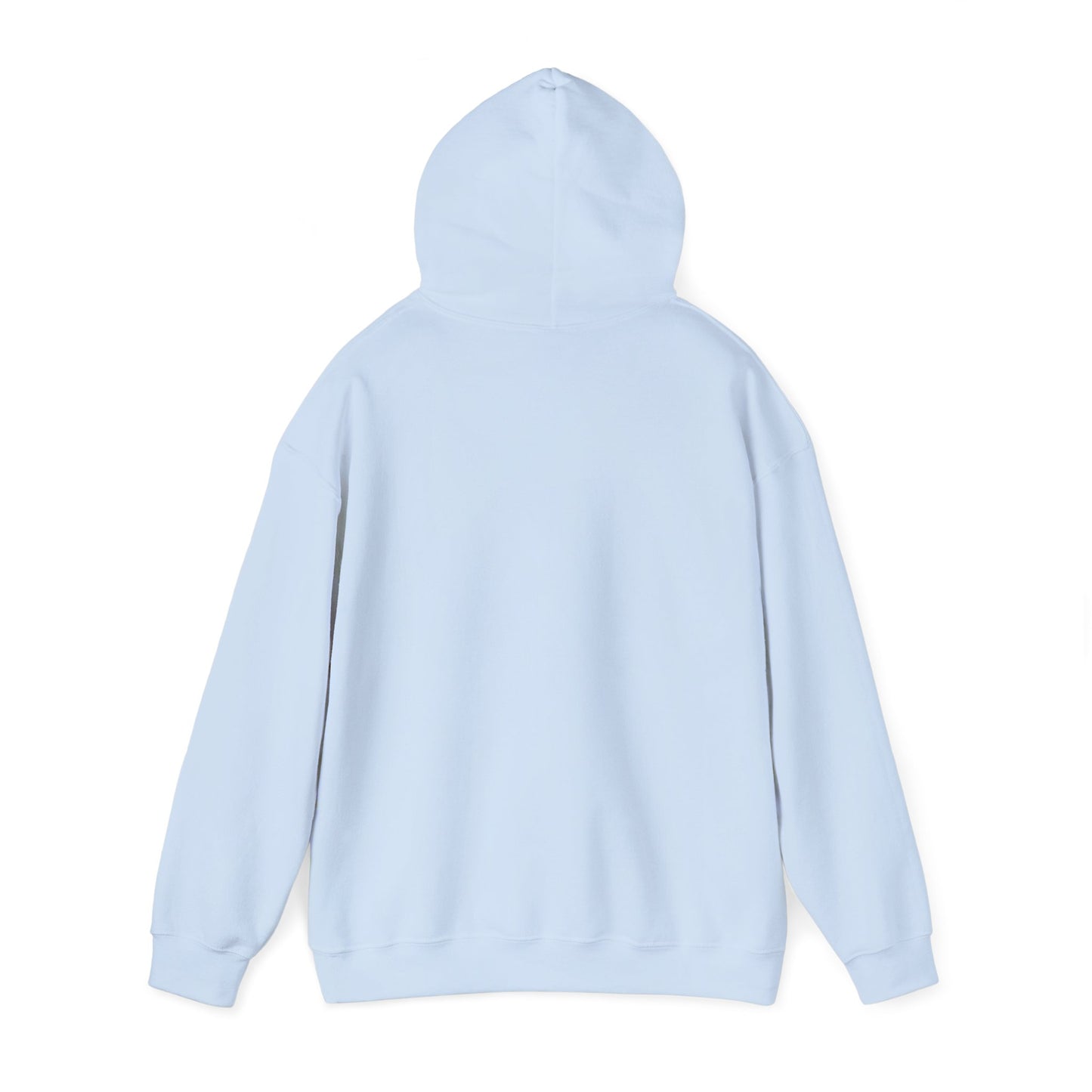 Hoodie E30