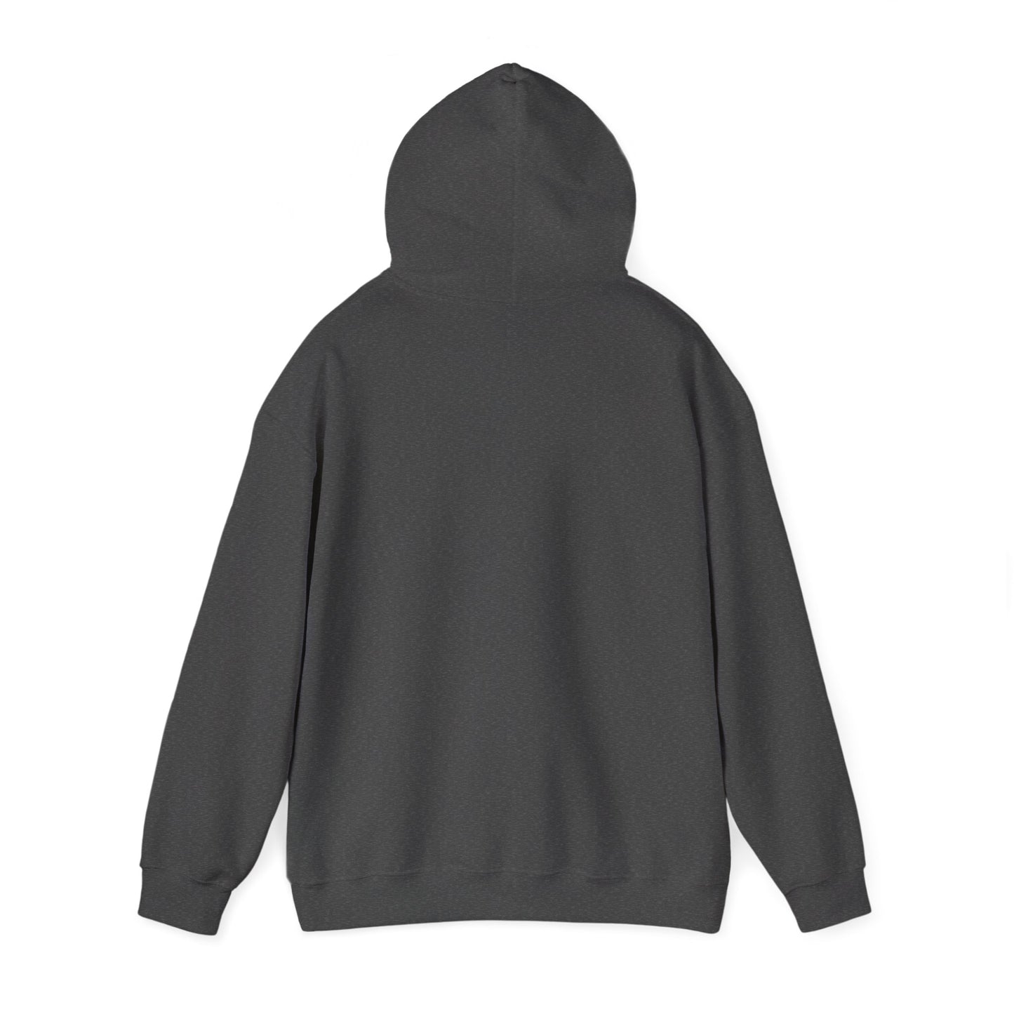 Hoodie E30