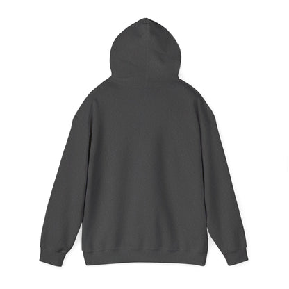 Hoodie E36
