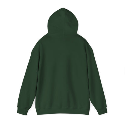 Hoodie E36